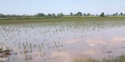 Maltempo, Coldiretti: 7 milioni di italiani in ...