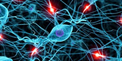 Uno studio italiano scopre come agevolare la na...