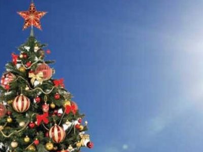 Covid, Coldiretti: Natale senza 13,5 milioni di alberi e stelle