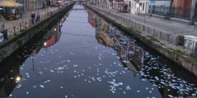 Migliaia banconote nel Naviglio, la delusione d...