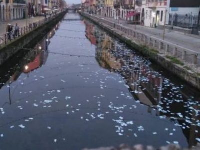 Migliaia banconote nel Naviglio, la delusione dei milanesi: sono false