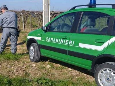 Ambiente: nei primi 9 mesi del 2019 gli illeciti accertati sono cresciuti del 25%