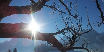 Il 2020 si apre nel segno del bel tempo: sole i...