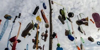 L’albero del mare, fatto di plastiche e r...