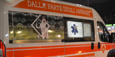 La prima ambulanza per gli animali è un dono so...