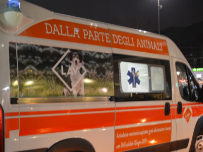 La prima ambulanza per gli animali è un dono solidale