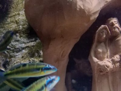 Tra i “presepi sommersi” anche quello con gli squali