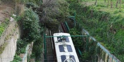 Capri, funicolare bloccata da un grosso ramo ca...
