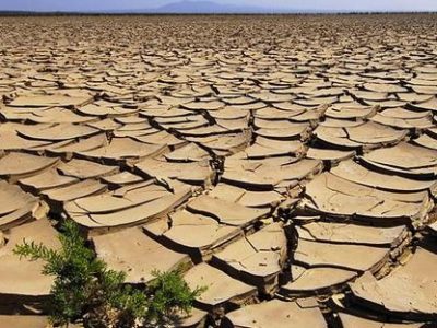 I profughi del clima nel libro della giornalista Francesca Santolini