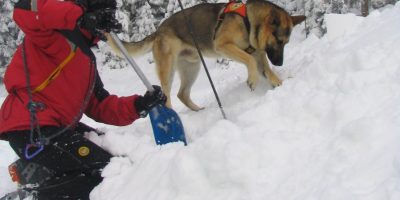 Tragedia in Val Senales, tre morti sotto una va...