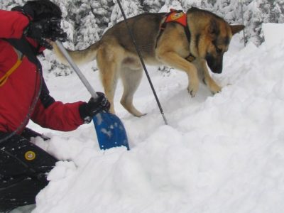 Tragedia in Val Senales, tre morti sotto una valanga, slavine in altre località