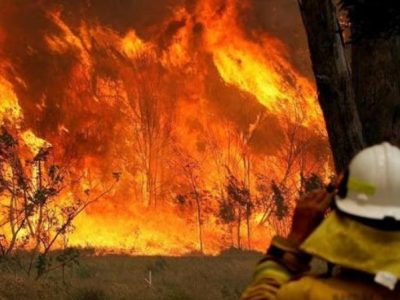 Australia, sale a 24 morti il bilancio degli incendi boschivi