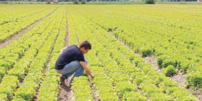 Clima: Coldiretti, in Italia solo 7% di gas ser...