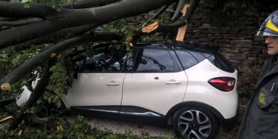 Raffiche di vento, un albero si abbatte su un a...