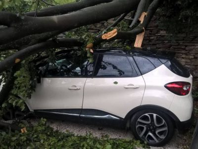 Raffiche di vento, un albero si abbatte su un auto, ferito il conducente