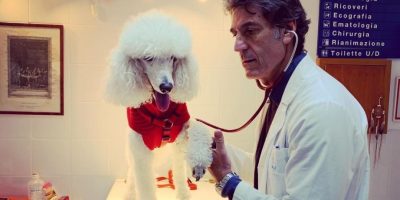 “Una Cuccia in sospeso”, l’in...