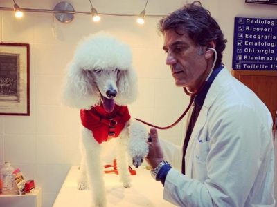 “Una Cuccia in sospeso”, l’iniziativa green per gli accessori dei pet