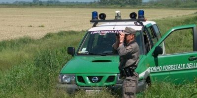 Fucilate contro la caserma del Corpo Forestale ...