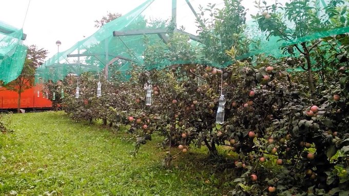 criminalità agricoltura