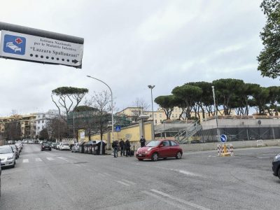 Dimesso Niccolò il 17enne ricoverato allo Spallanzani “E’ un’emozione incredibi...