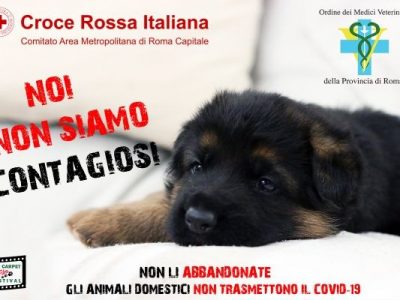 “Noi non siamo contagiosi”, nasce la campagna contro l’abbandono degli animali