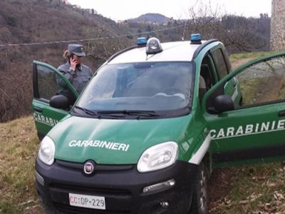 Deteneva animali di provenienza ignota, denunciato