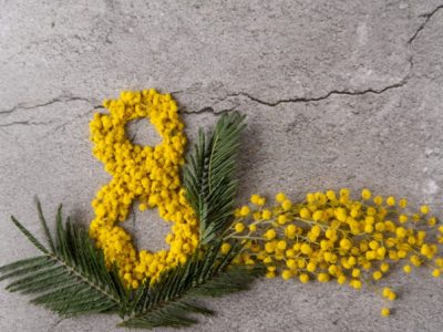 8 marzo sottotono, niente festa al Quirinale e cortei