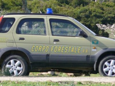 Secondo attentato al Corpo Forestale in Sardegna, dopo le fucilate a fuoco un’auto