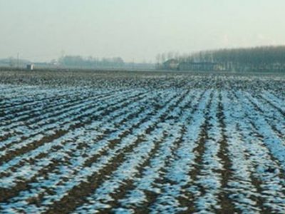 Ondata di freddo, danni all’agricoltura in Piemonte