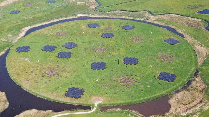 LOFAR Radio Galaxy Zoo