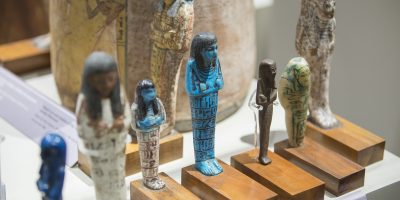 Il Museo Egizio riapre al pubblico con tariffe ...