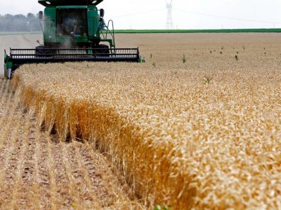 Usa, piano da 19 miliardi di dollari per aiutare gli agricoltori