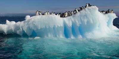 Antartide, è caldo record con gravi danni per a...