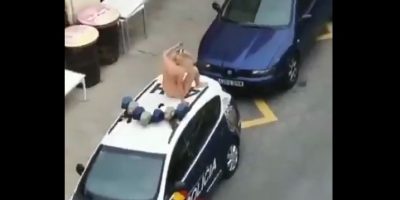 Video: Spagna, donna nuda e ubriaca sale su un&...