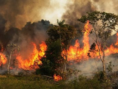 Gira ancora intorno al globo la nube degli incendi in Australia