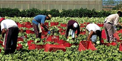 Regolarizzare gli stranieri che lavorano nel se...