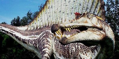 Lo Spinosauro: il più grande dinosauro carnivor...