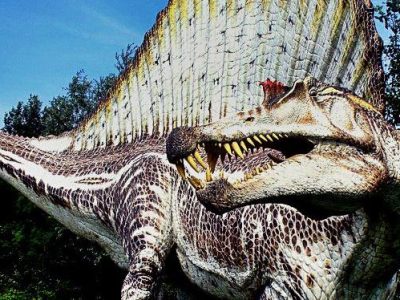 Lo Spinosauro: il più grande dinosauro carnivoro era acquatico