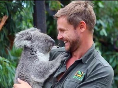 Australia, ecco “Cenere” il primo koala nato dopo gli incendi