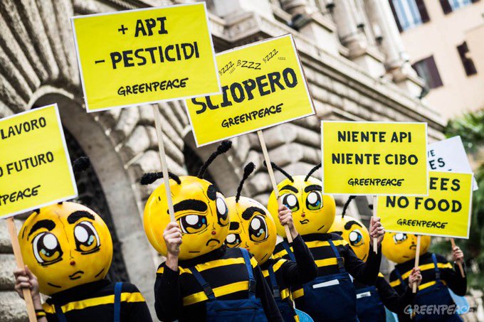 Giornata mondiale api