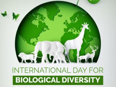 Il 22 maggio è la Giornata internazionale della biodiversità