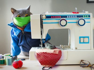 |Video| Gatto in quarantena prova a suonare “Bella Ciao” col sax