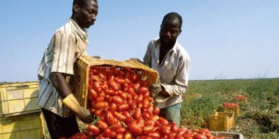 Intesa su regolarizzazione dei migranti: 6 mesi...