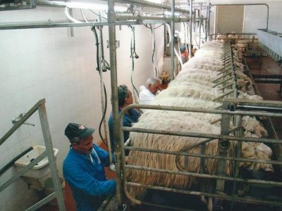 Lamorgese, ministro dell’Interno “Fare emergere il lavoro in nero”