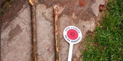 Furiosa lite al parco: gli spacca in testa un b...