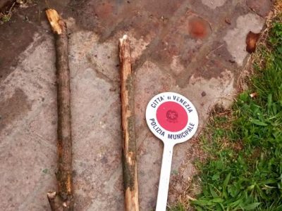 Furiosa lite al parco: gli spacca in testa un bastone e il rivale finisce in ospedale