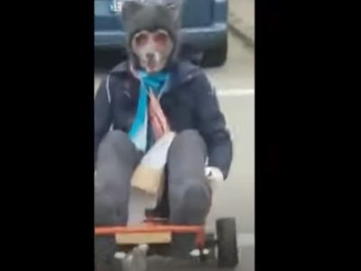 Video: scende in strada, mascherato da lupo, e vuole ristabilire l’ordine