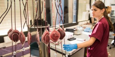 Oggi si celebra la Giornata mondiale della Tala...