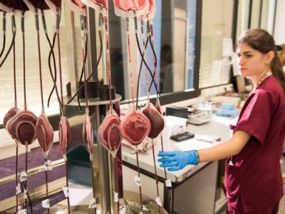 Oggi si celebra la Giornata mondiale della Talassemia