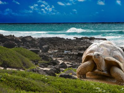 Ecuador, dal primo luglio riapriranno le isole Galapagos